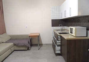 Студия квартира, на длительный срок, 25м2, 11/19 этаж