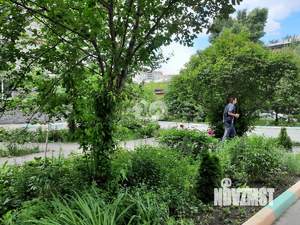 1-к квартира, на длительный срок, 34м2, 6/6 этаж