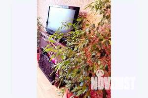 2-к квартира, посуточно, 54м2, 5/9 этаж