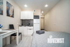 Студия квартира, посуточно, 20м2, 11/17 этаж