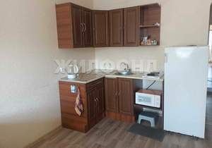 1-к квартира, на длительный срок, 25м2, 10/17 этаж