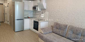 Студия квартира, на длительный срок, 25м2, 10/17 этаж