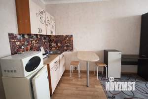 1-к квартира, на длительный срок, 20м2, 11/16 этаж