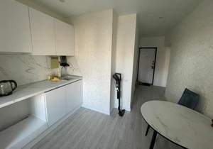 1-к квартира, на длительный срок, 33м2, 7/25 этаж