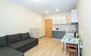 Студия квартира, на длительный срок, 26м2, 12/14 этаж