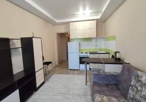 Студия квартира, на длительный срок, 20м2, 16/17 этаж