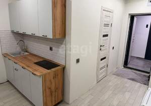 Студия квартира, на длительный срок, 24м2, 2/17 этаж