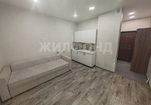 1-к квартира, на длительный срок, 20м2, 5/17 этаж