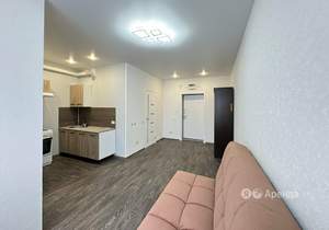 Студия квартира, на длительный срок, 27м2, 11/17 этаж