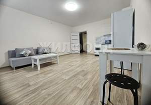 1-к квартира, на длительный срок, 31м2, 8/24 этаж