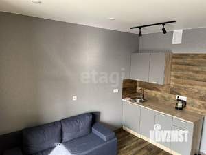 Студия квартира, на длительный срок, 25м2, 8/17 этаж