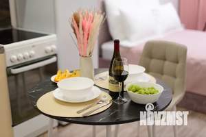 Студия квартира, посуточно, 24м2, 6/17 этаж