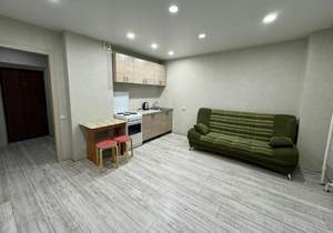 Студия квартира, на длительный срок, 27м2, 9/17 этаж