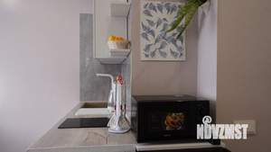 Студия квартира, на длительный срок, 25м2, 15/25 этаж