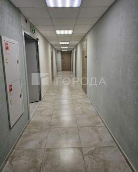 Студия квартира, на длительный срок, 25м2, 13/13 этаж