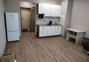 Студия квартира, на длительный срок, 28м2, 6/25 этаж