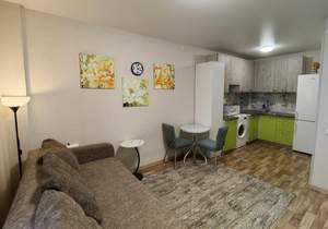 Студия квартира, на длительный срок, 24м2, 2/17 этаж