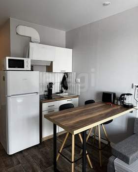 Студия квартира, на длительный срок, 24м2, 7/13 этаж