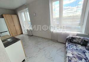 1-к квартира, на длительный срок, 20м2, 7/16 этаж