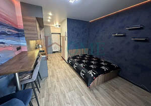 Студия квартира, на длительный срок, 26м2, 22/25 этаж