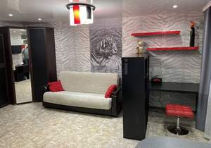 1-к квартира, на длительный срок, 26м2, 6/10 этаж