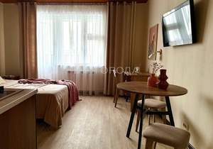 Студия квартира, на длительный срок, 22м2, 10/17 этаж