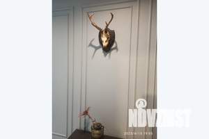 2-к квартира, посуточно, 80м2, 1/13 этаж