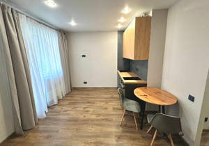 Студия квартира, на длительный срок, 23м2, 7/17 этаж