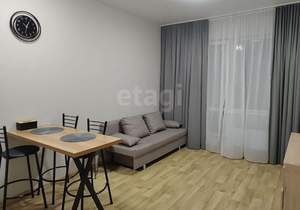 Студия квартира, на длительный срок, 24м2, 17/18 этаж