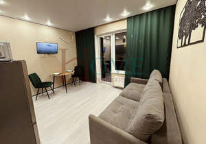 Студия квартира, на длительный срок, 22м2, 19/25 этаж