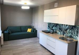 Студия квартира, на длительный срок, 30м2, 5/17 этаж