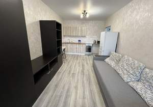 Студия квартира, на длительный срок, 28м2, 7/17 этаж