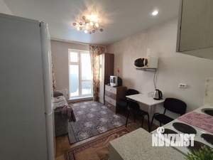 1-к квартира, на длительный срок, 20м2, 13/17 этаж