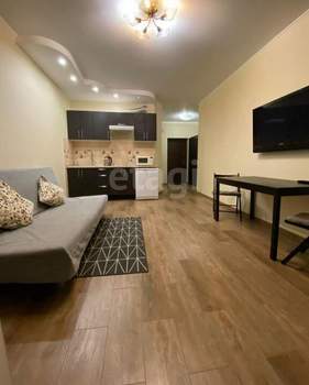 Студия квартира, на длительный срок, 30м2, 14/27 этаж