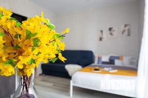 Студия квартира, посуточно, 26м2, 11/17 этаж