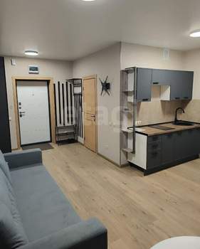 Студия квартира, на длительный срок, 27м2, 12/17 этаж