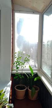 2-к квартира, на длительный срок, 45м2, 5/5 этаж