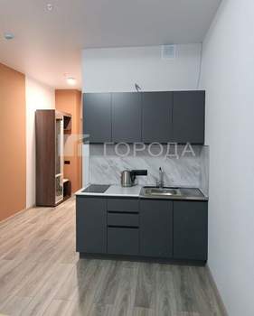 1-к квартира, на длительный срок, 25м2, 13/16 этаж