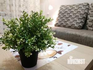 1-к квартира, посуточно, 33м2, 1/9 этаж