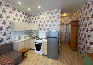 1-к квартира, на длительный срок, 20м2, 10/17 этаж