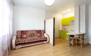 1-к квартира, на длительный срок, 27м2, 15/16 этаж