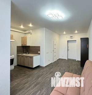 Студия квартира, на длительный срок, 24м2, 11/17 этаж