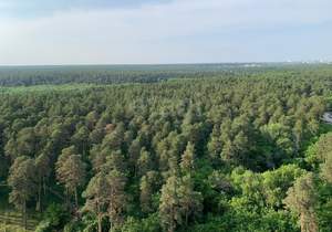 2-к квартира, на длительный срок, 61м2, 16/25 этаж