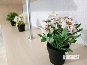 1-к квартира, посуточно, 33м2, 1/1 этаж