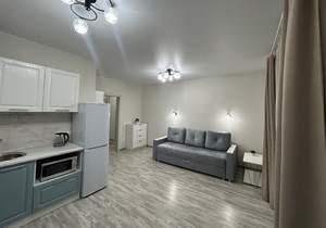 Студия квартира, на длительный срок, 30м2, 5/24 этаж