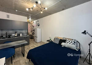 Студия квартира, на длительный срок, 25м2, 11/20 этаж