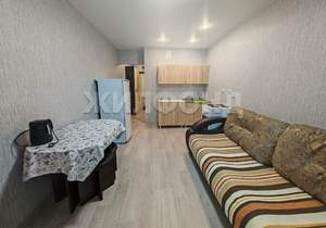 1-к квартира, на длительный срок, 20м2, 8/17 этаж