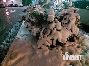 3-к квартира, на длительный срок, 62м2, 2/9 этаж