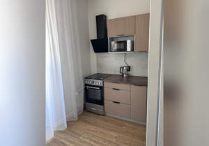 1-к квартира, на длительный срок, 28м2, 25/29 этаж