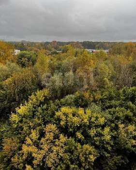 2-к квартира, на длительный срок, 54м2, 9/9 этаж